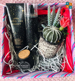 Celestial Glow & Greenery Hamper