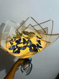 Butterfly Bloom Fantasy With Lights