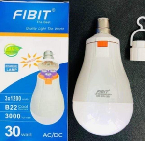 Fibit 30w Rechargeable LED bulb