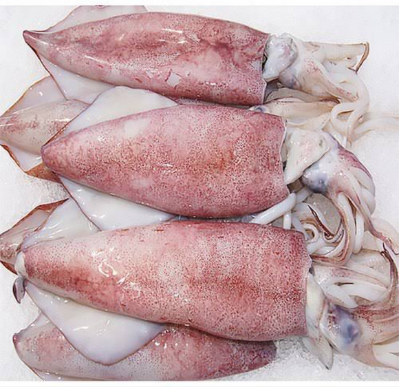 Fresh cuttle fish clean 1kg